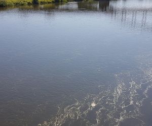 Mężczyzna znikął w wodach Warty. Trwa akcja poszukiwawcza