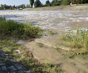 Jaz Szczytnicki we Wrocławiu coraz bardziej wypełniony. Do Wrocławia zbliża się fala ZDJĘCIA