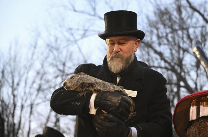 Świstak przepowiedział sześć tygodni zimy