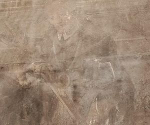 Freski z połowy XVIII wieku odkryte w kościele pw. Św. Stanisława Biskupa i Męczennika w Siedlcach