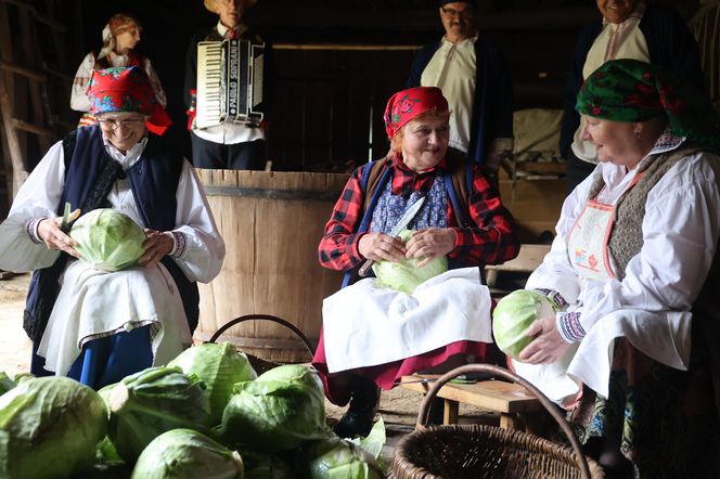 Tak ongiś siekano kapustę w woj. lubelskim. „Obieraczki kapuściane” w Muzeum Wsi Lubelskiej