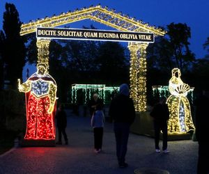 Królewski Ogród Świateł w Wilanowie już otwarty. Zobaczcie sami, jak tam jest pięknie!