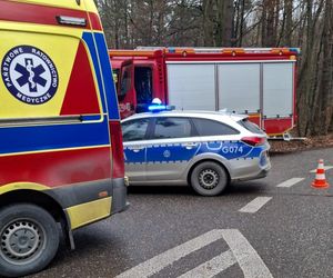 Skoda z dwiema osobami w środku uderzyła w drzewo. 4-letnie dziecko trafiło do szpitala