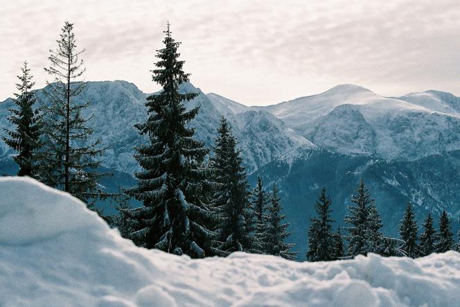 Zakopane