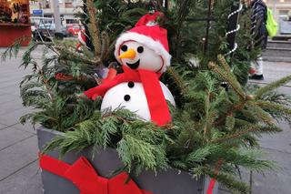 Jarmark Bożonarodzeniowy w Szczecinie 