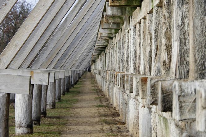 Tężnie w Ciechocinku gniją