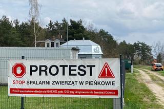 Krematorium dla zwierząt domowych Pożegnaj przyjaciela