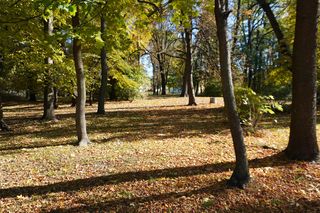 Złota polska jesień w parku na Bronowicach w Lublinie