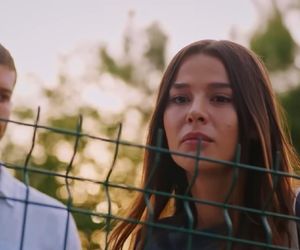 Miłość i nadzieja odc. 283. Zeynep, Cihan