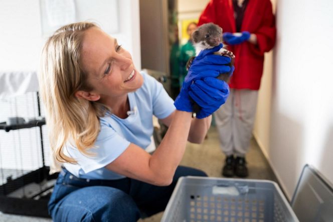 Małgorzata Trzaskowska. Kampania prezydencja