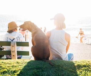 Niewiarygodne temperatury w grudniu. Termometry pokazały prawie 30 stopni