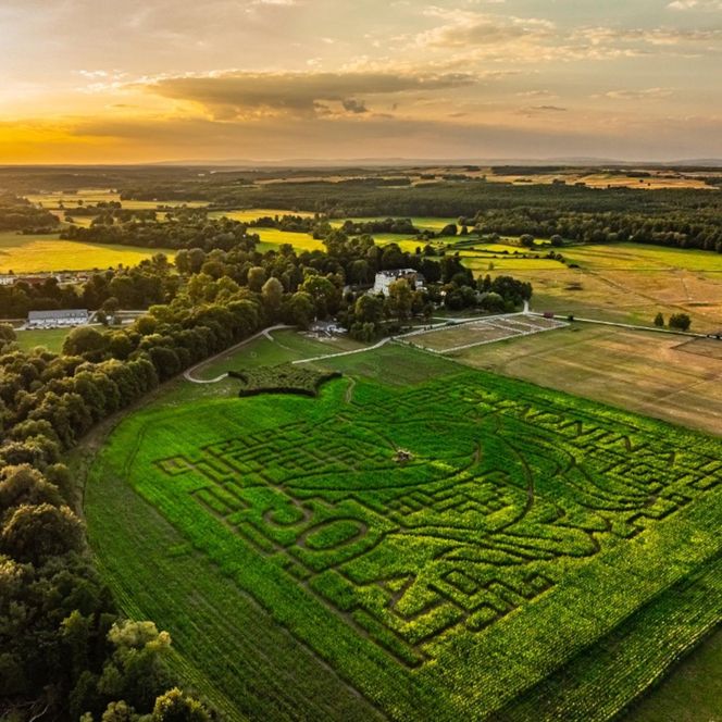Labirynt w Kurozwękach
