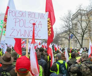 Strajk rolników 20 marca. Stanie cała Polska. Ten protest ma być najpotężniejszy