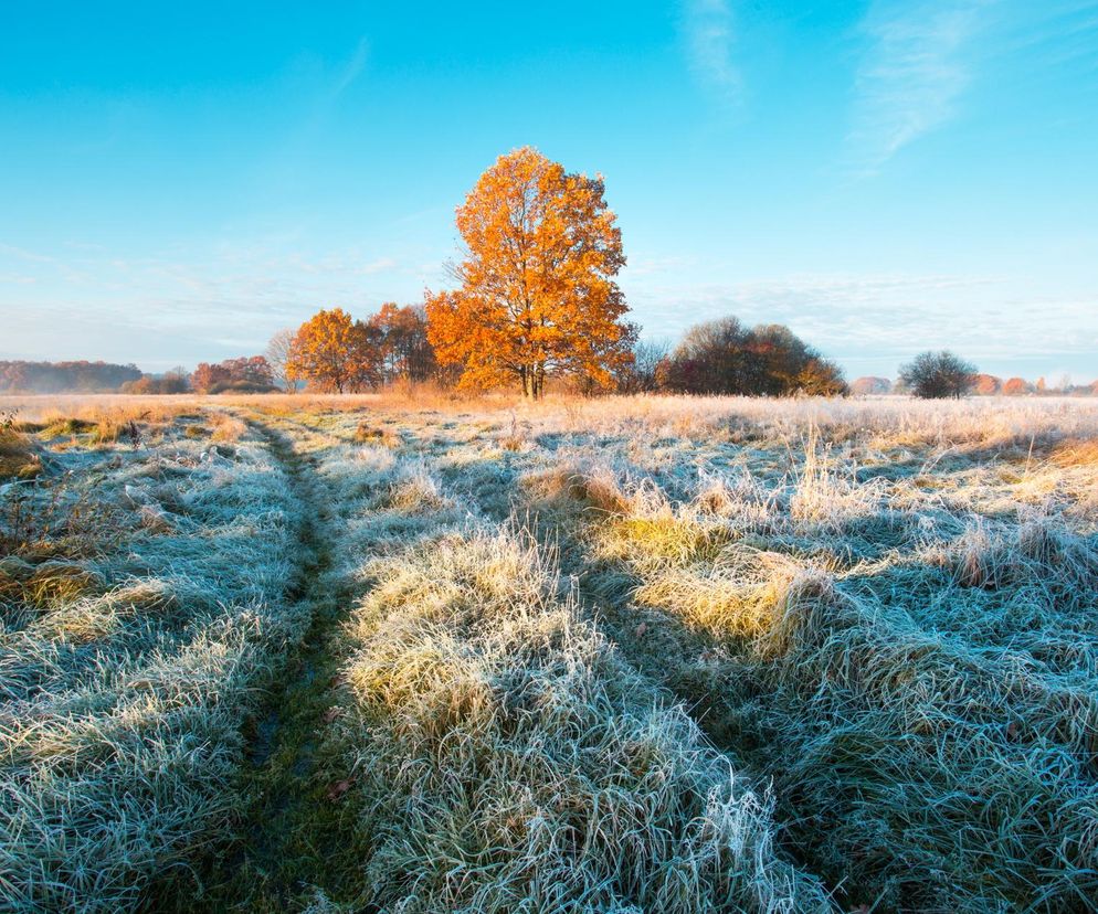 Antycyklon namiesza w pogodzie. Dwucyfrowy mróz w zamian za hormon szczęścia