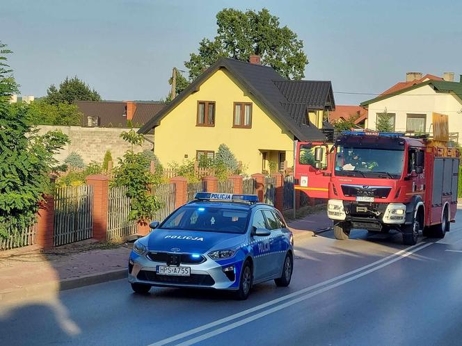 Starachowice: Kierowca wjechał w latarnię