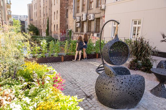 Kwiaty, zioła i ekoligiczne meble z lawy wulkanicznej – w centrum Katowic powstał pokój z klimatem!