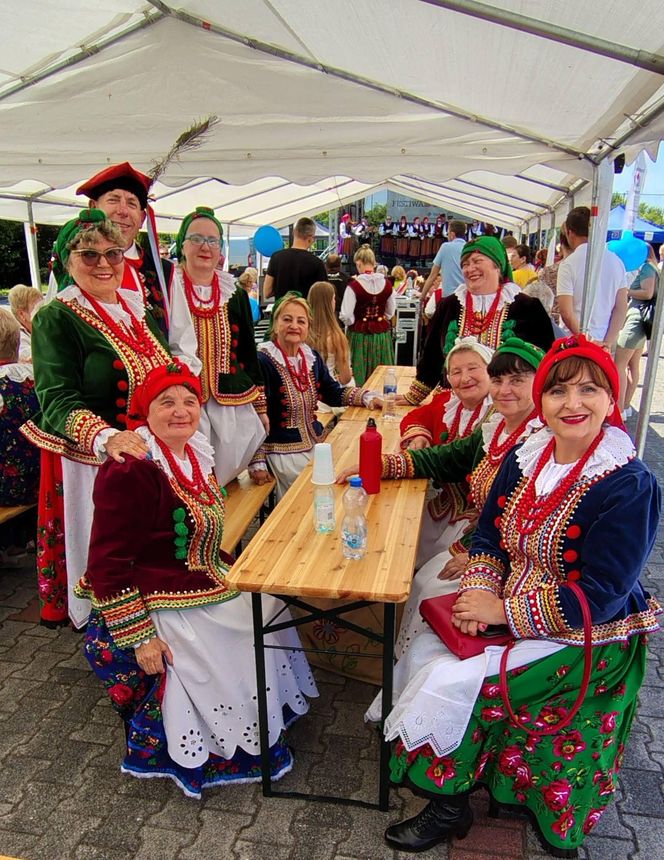 Janów odzyska prawa miejskie