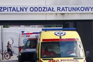 Mały zajączek na SORZ-e w Oławie