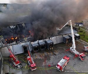  Kawle. Pożar zakładu przetwórstwa drobiowego. 120 strażaków walczy z żywiołem w czwartek, 14 sierpnia. Jeden z nich zaginął [ZDJĘCIA]