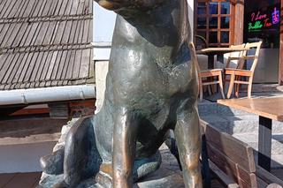 Pierwszy w Polsce posąg psa kundelka znajduje się w Kazimierzu Dolnym