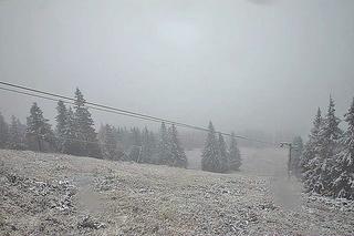 Pierwszy śnieg spadł w Beskidach na Babiej Górze i w Korbielowie