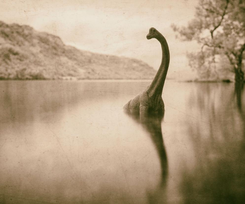 Potwór z Loch Ness istnieje? Niepodważalne dowody i absurdalne historie [WIDEO]