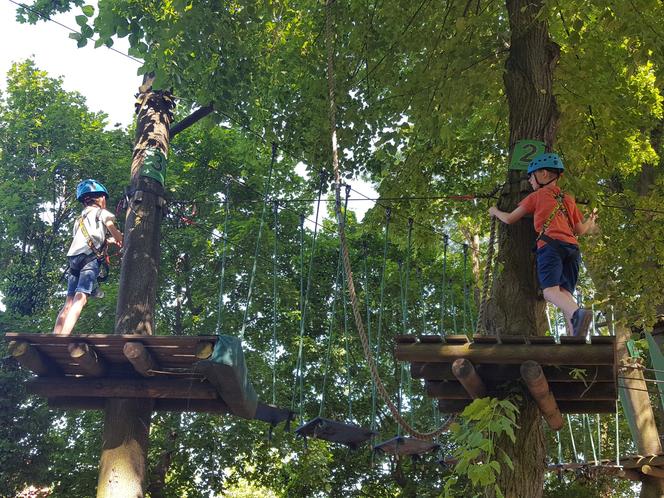 Nowy właściciel myśli o nowych atrakcjach w Parku Linowym "Tarzan" w Lesznie