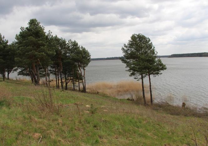 To jezioro na Mazurach jest niemal nietknięte przez człowieka. Nie wolno tam nawet krzyczeć