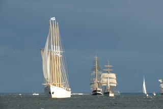 ParadaZagleGdyni2014_FotMZwierz_710261