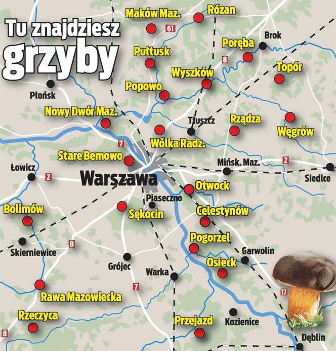 W weekend ruszaj na grzybobranie