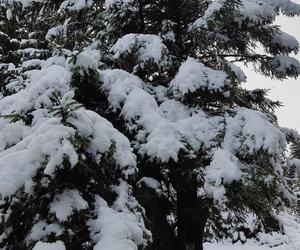 Zima w Karkonoszach! Góry przykryte śniegiem. Oto wasze zdjęcia z minionego weekendu