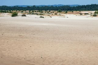 Pustynia Błędowska