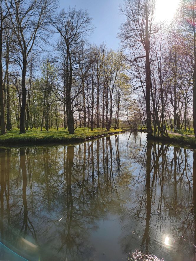 To najpiękniejszy park w Polsce. Warto przywitać tam wiosnę 