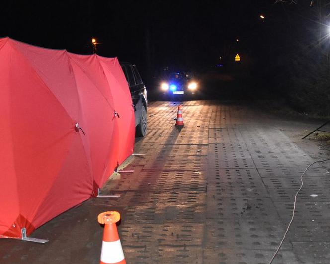 Koń ZABIŁ motorowerzystę?! ZOBACZ ZDJĘCIA