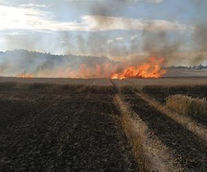 Pożar maszyny rolniczej, rżyska słomy i zboża - Lipowina gm. Braniewo