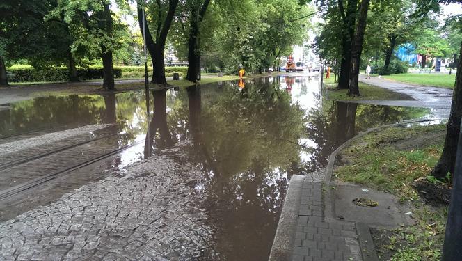 Krajobraz po nawałnicy w Łodzi. Tak jest przy Parku Staromiejskim