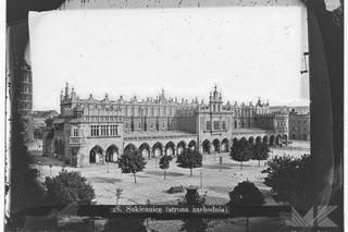 Posadzą więcej drzew na Rynku Głównym w Krakowie - zdjęcia. Kiedyś było ich niemal dwa razy więcej!