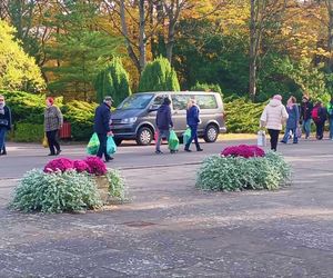 1 listopada na Cmentarzu Centralnym w Szczecinie