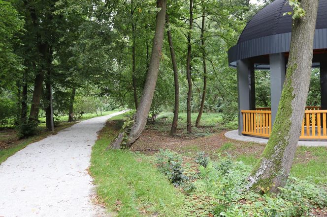 Zabytkowy park pod Lubawą zmienił się nie do poznania. Teraz wygląda jak z bajki