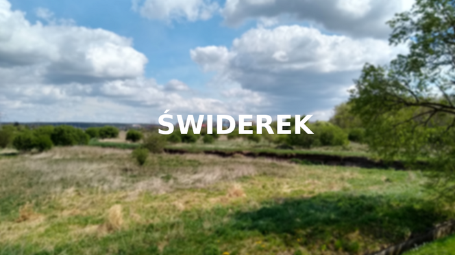 Świderek