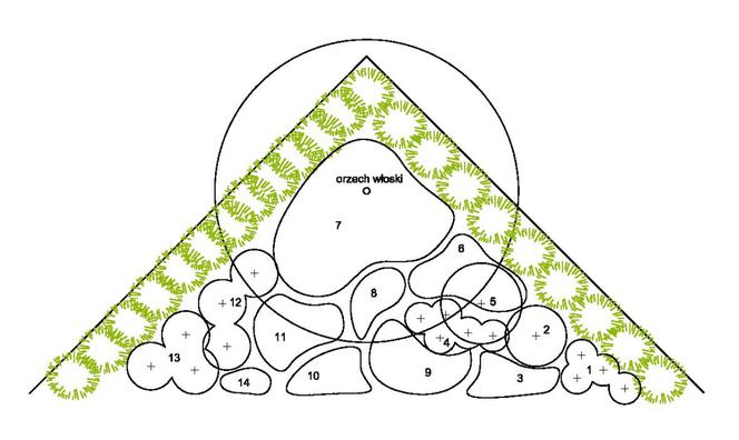 Pomysł na obsadzenie trójkątnego fragmentu ogrodu