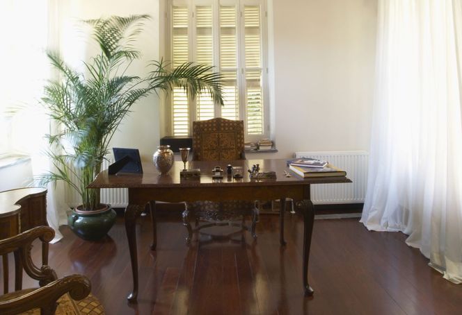 Wybieramy kwiaty doniczkowe do mieszkania w stylu kolonialnym