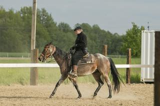 Daniel Olbrychski: Kowboj z Podkowy Leśnej
