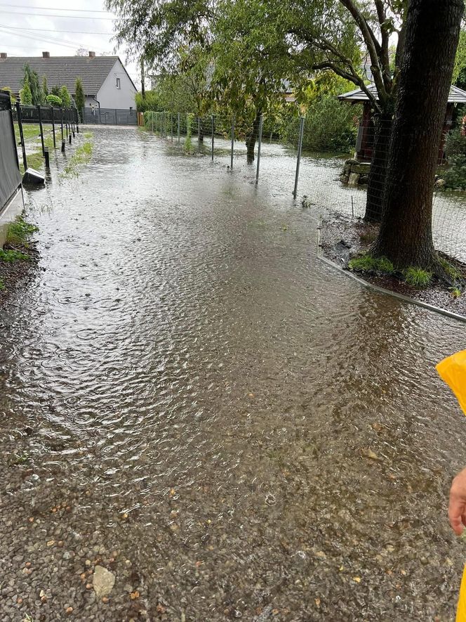 Przystań Ocalenie w Ćwiklicach zalana po ulewnych deszczach. Potrzebna pomoc