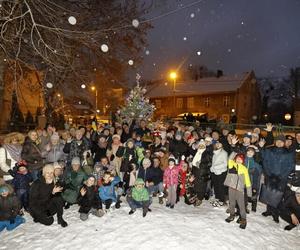 Dzielnicowe choinki w Gdańsku już świecą