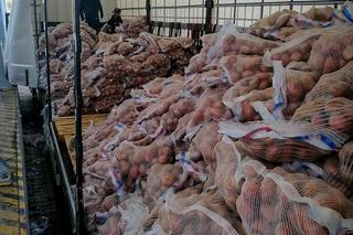 Gang narkotykowy rozbili policjanci CBŚP