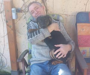 Państwo Jarmolińscy kochają zwierzęta. Na poszukiwania ukochanej Niuni wydali prawie 10 tys. zł 