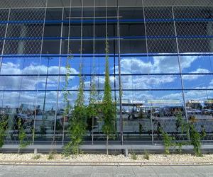 Zazieleniony teren parkingu i pasażu przed terminalami Katowice Airport