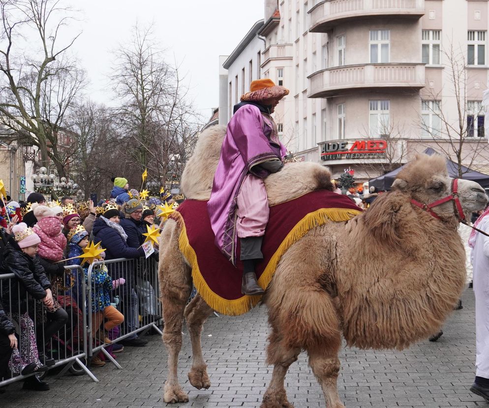 Orszak Trzech Króli 2025 w Zielonej Górze