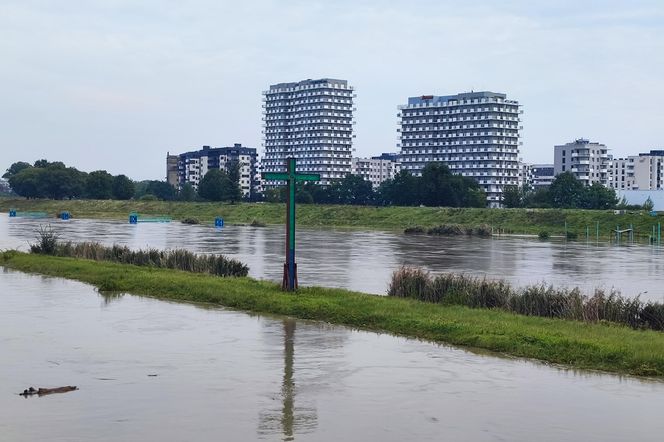 Fala powodziowa na Odrze we Wrocławiu. Pod wodą są już beach bary i drogi 